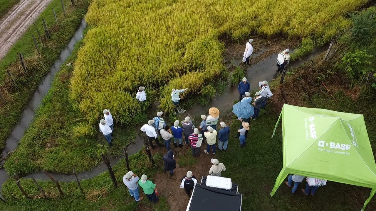 WhatsApp Image 2025-07-23 at 9.13.41 AM (2) (1)