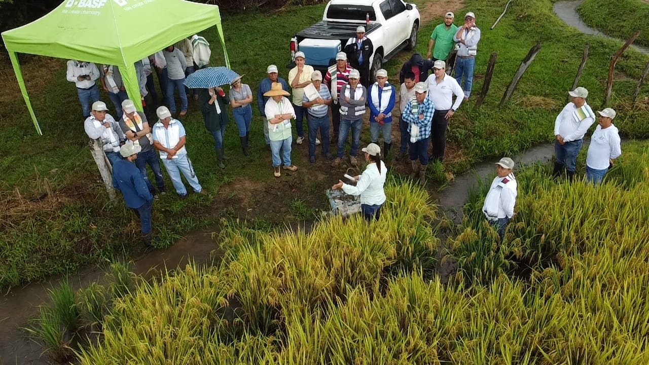 WhatsApp Image 2025-07-23 at 9.13.41 AM (3)