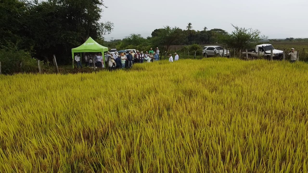 WhatsApp Image 2025-07-23 at 9.13.41 AM (4)