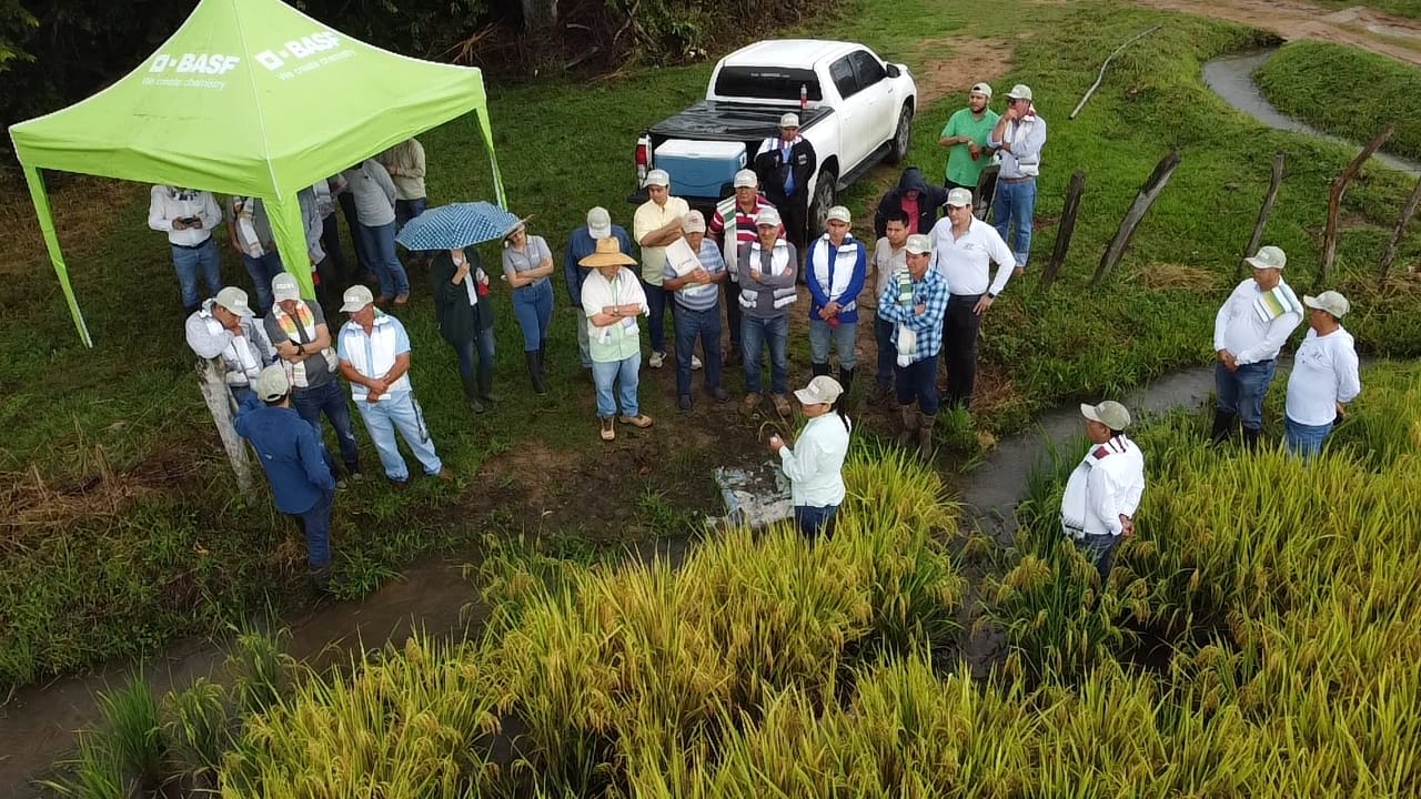 WhatsApp Image 2025-07-23 at 9.13.42 AM (1) (1)