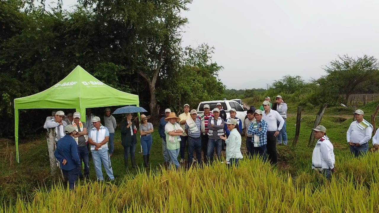 WhatsApp Image 2025-07-23 at 9.13.42 AM (2) (1)