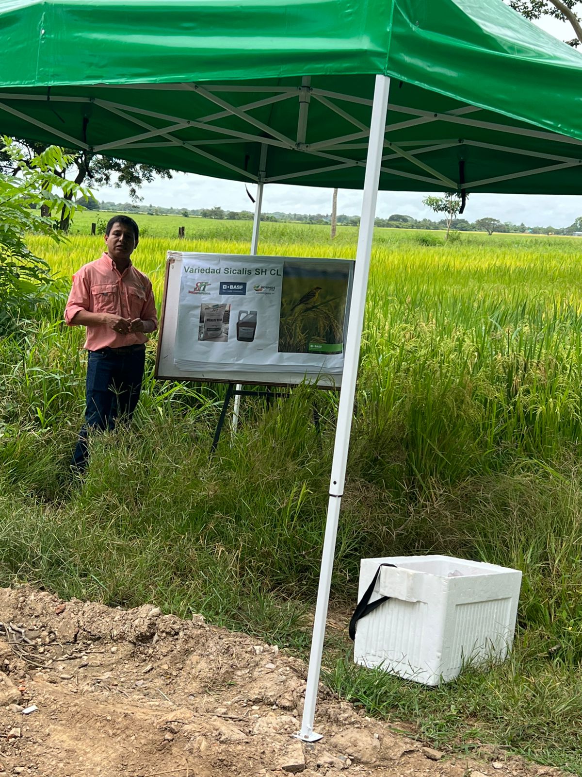 WhatsApp Image 2025-08-22 at 10.18.35 AM