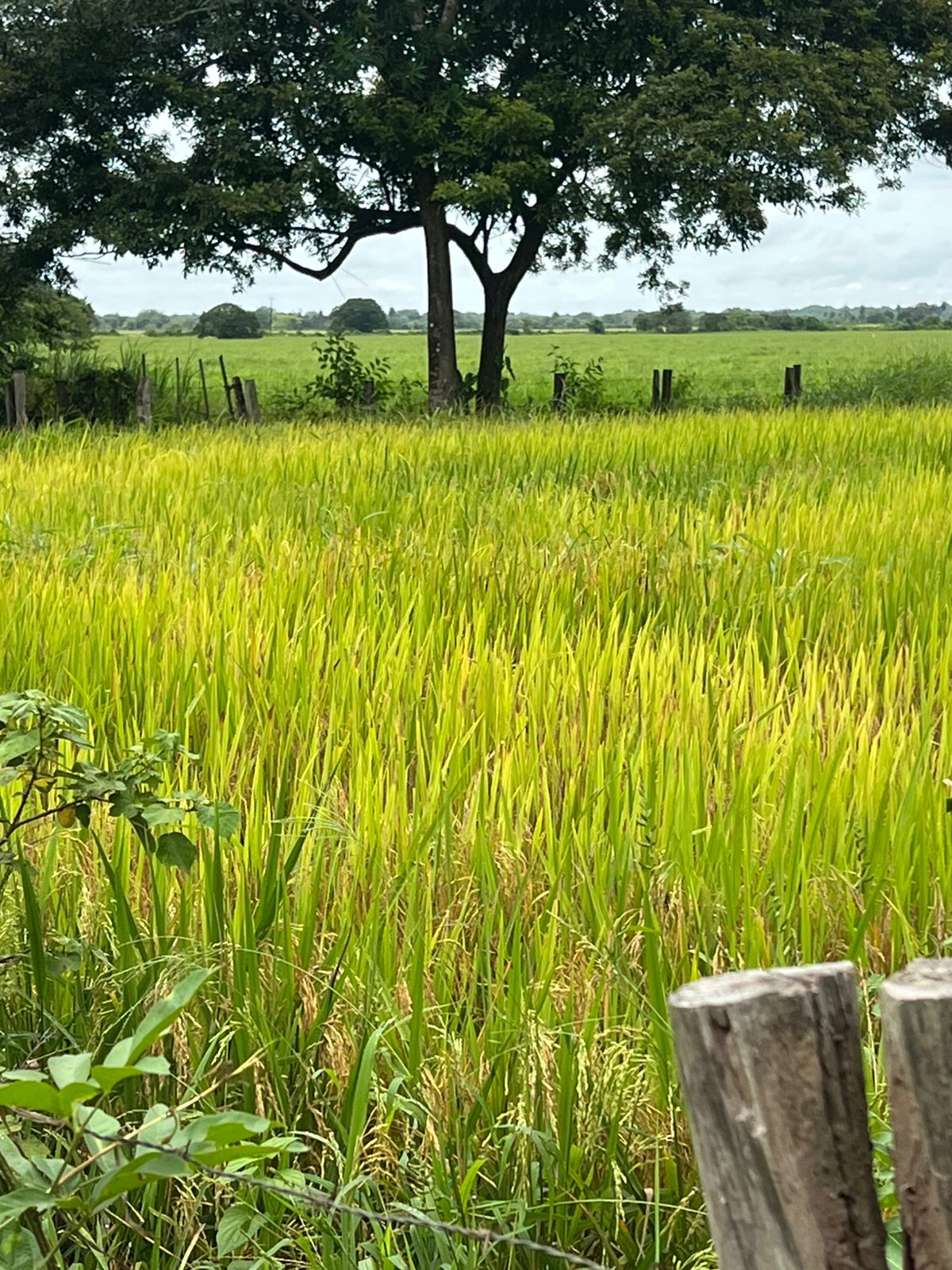 WhatsApp Image 2025-08-22 at 10.18.39 AM (1)