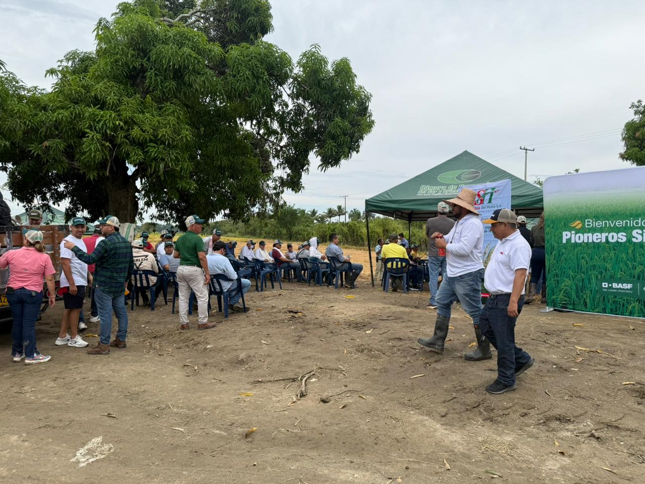 WhatsApp Image 2025-09-17 at 6.40.23 PM