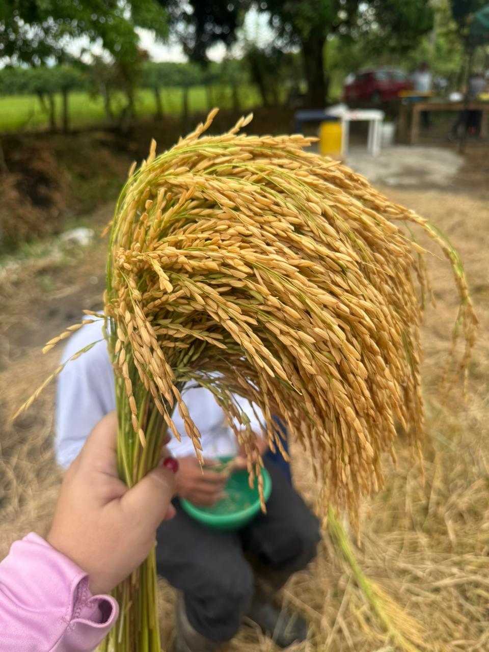 WhatsApp Image 2025-09-17 at 6.40.26 PM (1)