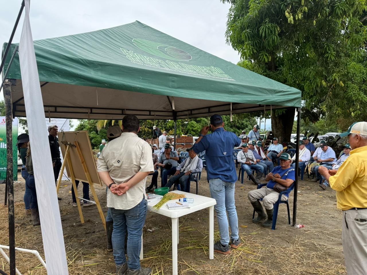 WhatsApp Image 2025-09-17 at 6.40.26 PM (2)