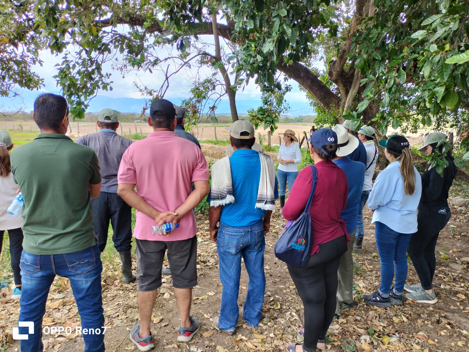 WhatsApp Image 2025-09-17 at 9.09.31 AM (1)