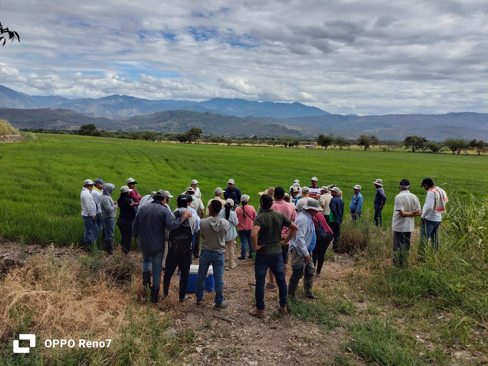 WhatsApp Image 2025-09-17 at 9.09.34 AM (1)