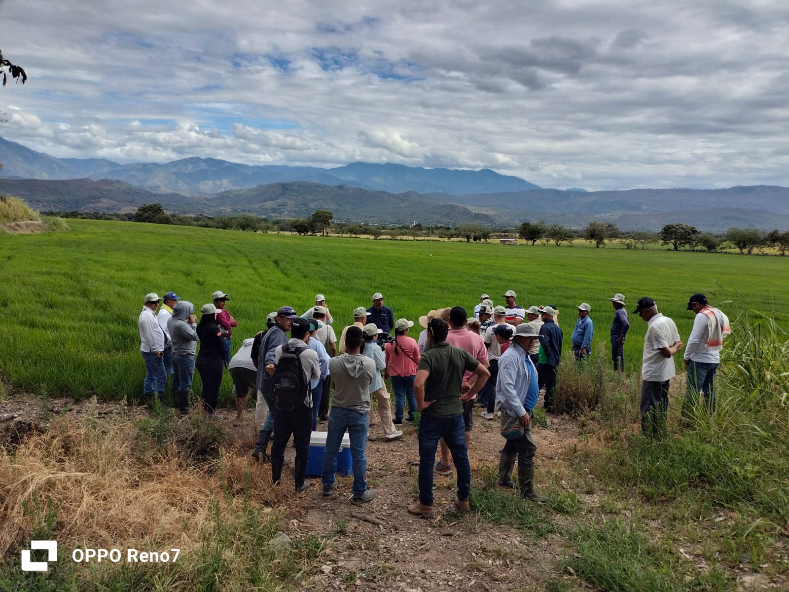 WhatsApp Image 2025-09-17 at 9.09.34 AM