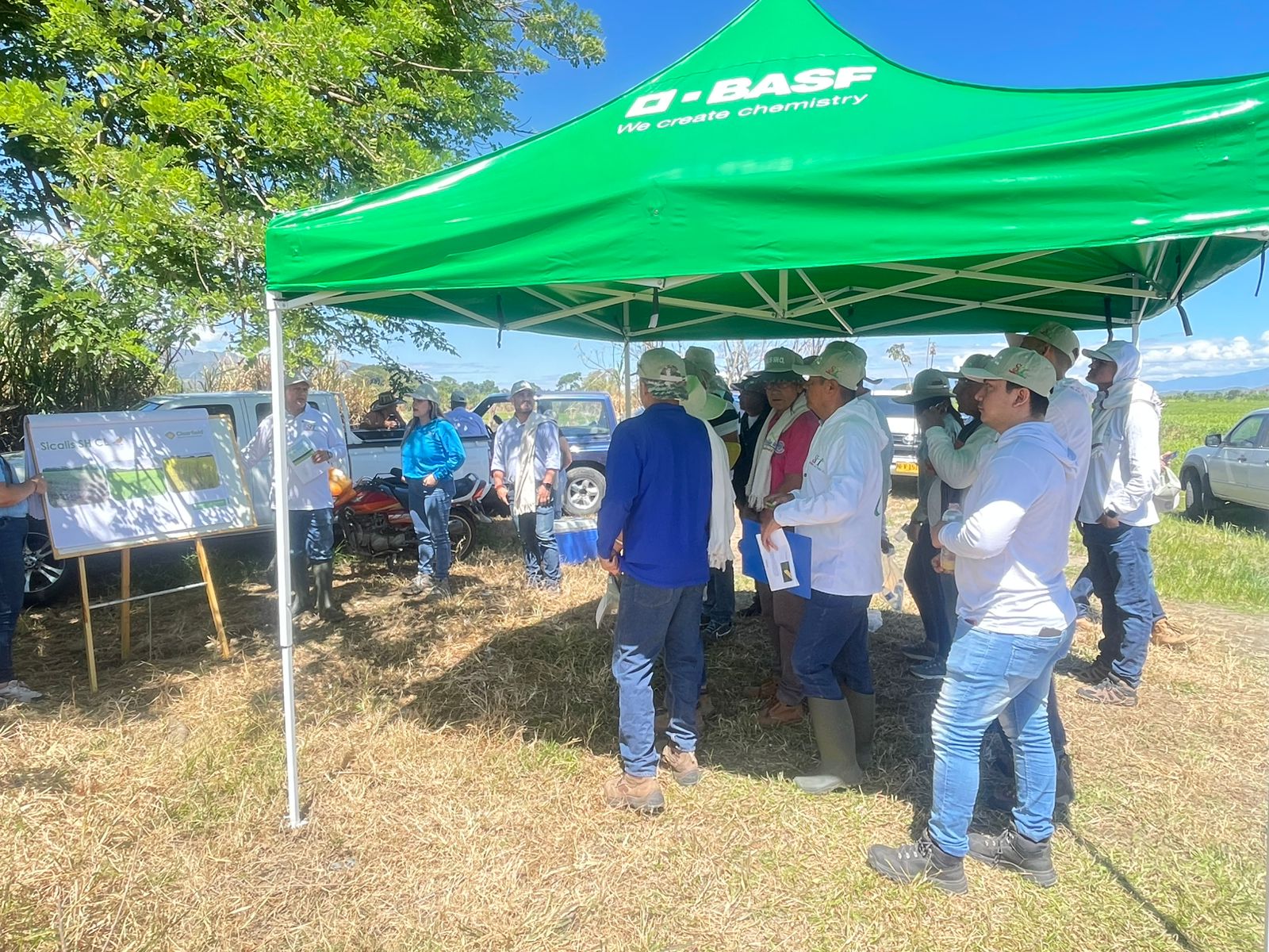 WhatsApp Image 2025-09-17 at 9.12.20 AM