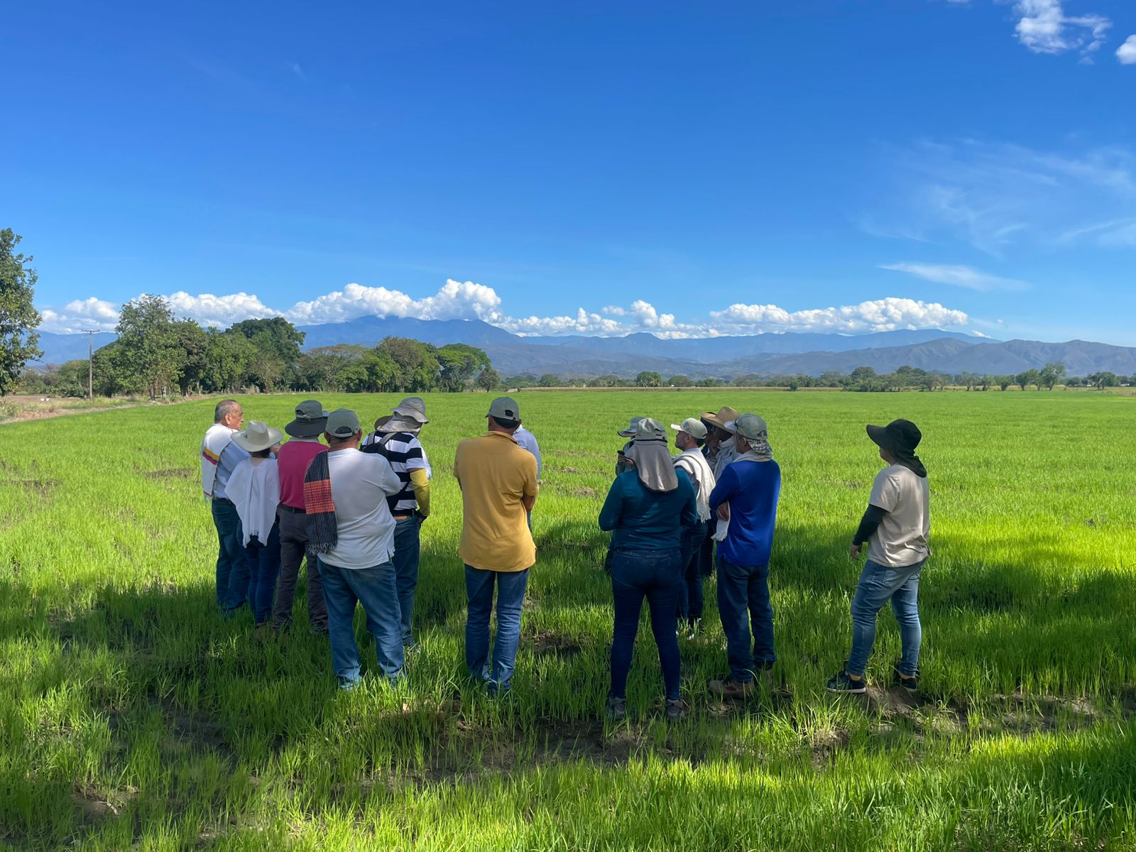 WhatsApp Image 2025-09-17 at 9.13.15 AM (2)