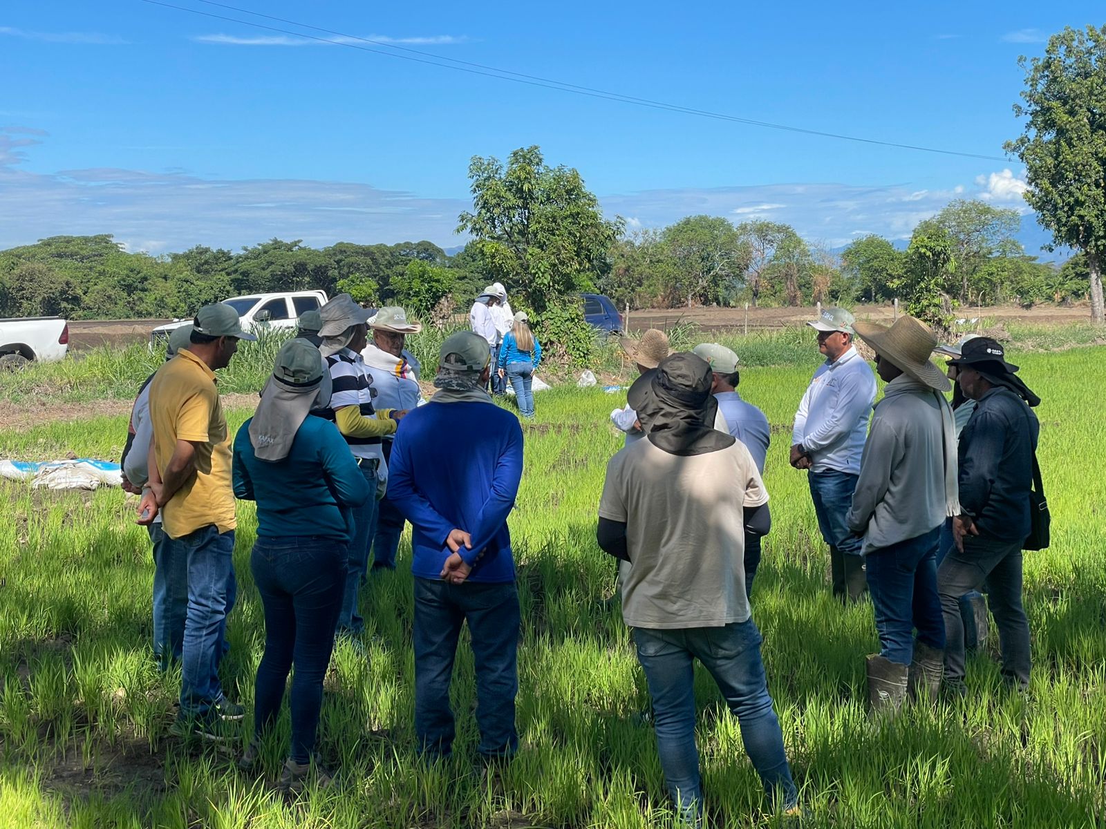 WhatsApp Image 2025-09-17 at 9.13.15 AM