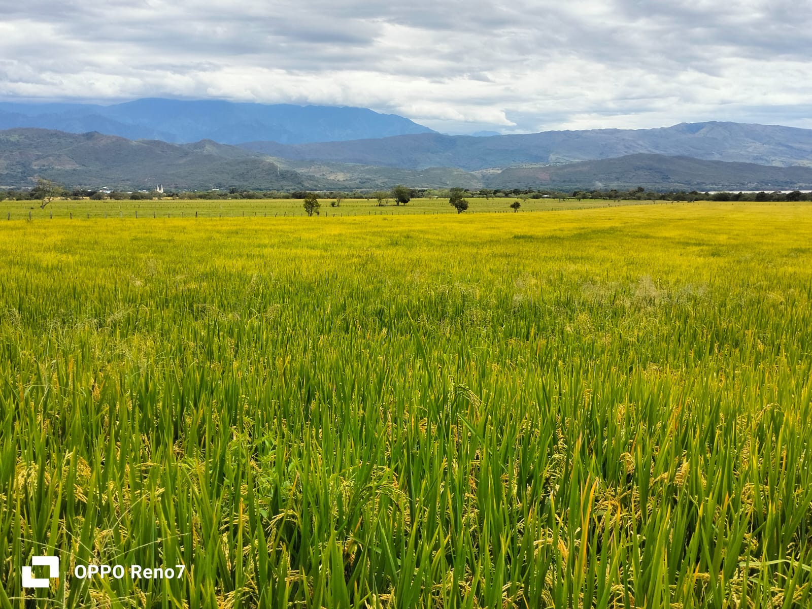 WhatsApp Image 2025-09-17 at 9.13.16 AM (1)