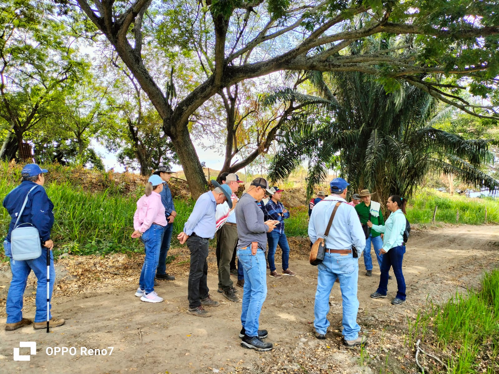 WhatsApp Image 2025-09-25 at 3.35.41 PM (1)