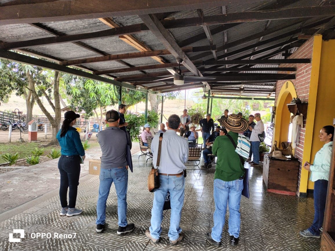 WhatsApp Image 2025-09-25 at 3.35.41 PM (2)