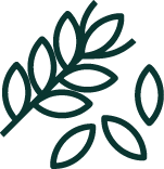 Tratamiento de productos